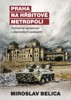 PRAHA NA HŘBITOVĚ METROPOLÍ-ČTYŘICET LET SPOJENCEM
