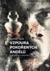 VZPOURA POKOŘENÝCH ANDĚLŮ - TUCET PŘÍBĚHŮ S TAJEMSTVÍM