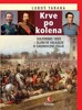 KRVE PO KOLENA: SOLFERINO 1859 - ZLOM VE VÁLKÁCH O SJEDNOCEN
