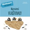 NAROZENÍ VLAŠTOVKY