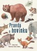 PRAVDA O HOVÍNKU