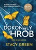 DOKONALÝ HROB (NIKKI HUNT 2)