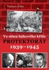 VE STÍNU HÁKOVÉHO KŘÍŽE