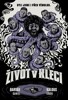ŽIVOT V KLECI-BYLI JSME I PŘED VÉMOLOU
