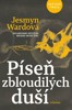 PÍSEŇ ZBLOUDILÝCH DUŠÍ