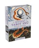 MYSTICKÝ TAROT SNŮ-ŽIVOTNÍ RADY Z HLUBIN VĚDOMÍ