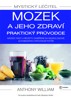 MYSTICKÝ LÉČITEL: MOZEK A JEHO ZDRAVÍ - PRAKTICKÝ PRŮVODCE