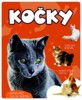 KOČKY - KNÍŽKA SE SKLÁDAČKAMI, OMALOVÁNKAMI A PASTELKOU