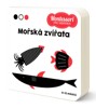 MONTESSORI PRO MIMINKA: MOŘSKÁ ZVÍŘATA