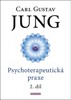PSYCHOTERAPEUTICKÁ PRAXE 2. DÍL