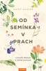 OD SEMÍNKA V PRACH