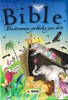 BIBLE - ILUSTROVANÉ PŘÍBĚHY PRO DĚTI