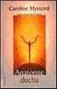 ANATOMIE DUCHA -SEDM ÚROVNÍ SÍLY A LÉČENÍ