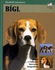 BÍGL