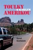 TOULKY AMERIKOU