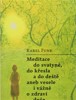 MEDITACE DO SVATYNĚ, DO KŘESLA A DO DEŠTĚ ANEB VESELE ..