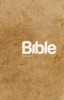 BIBLE PŘEKLAD 21. STOLETÍ  /PAPERBACK/