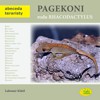 PAGEKONI RODU RHACODACTYLUS - ABECEDA TERARISTY