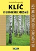 KLÍČ K URČOVÁNÍ STROMŮ-123 NEJBĚŽNĚJŠÍCH STROMŮ V ČR