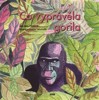 CO VYPRÁVĚLA GORILA