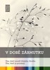 V DOBĚ ZÁRMUTKU