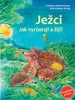 JEŽCI-JAK VYRŮSTAJÍ AŽIJÍ