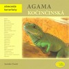 AGAMA KOČINČINSKÁ -ABECEDA TERARISTY