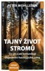 TAJNÝ ŽIVOT STROMŮ-CO CÍTÍ,JAK KOMUNIKUJÍ-OBJEVOVÁNÍ FASCIN.