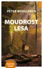 MOUDROST LESA