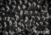 HAREDIM                                                   A