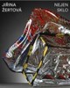 JIŘINA ŽERTOVÁ: NEJEN SKLO