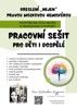 KRESLENÍ NEJEN PRAVOU MOZKOVOU HEMISFÉROU - PRACOVNÍ SEŠIT
