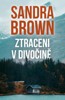 ZTRACENI V DIVOČINĚ