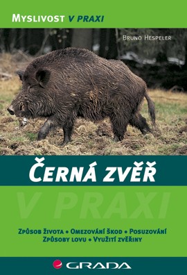 Ebenová anální amature